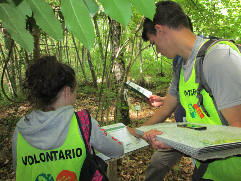 Ottavo anno di volontariato al Parco delle foreste casentinesi: ancora posti disponibili