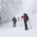 Ciaspolata (G. giacomini) Marcia in mezzo alla neve – Parco nazionale foreste casentinesi