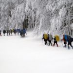 Marcia in mezzo alla neve – Parco nazionale foreste casentinesi