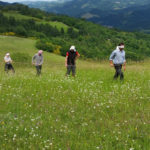 Escursione teatrale Parco nazionale delle foreste casentinesi