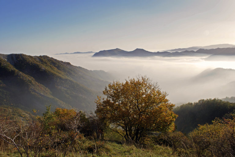 Il Parco Naz. Foreste Casentinesi candidato al “Nobel” della natura: la “Green list” della IUCN