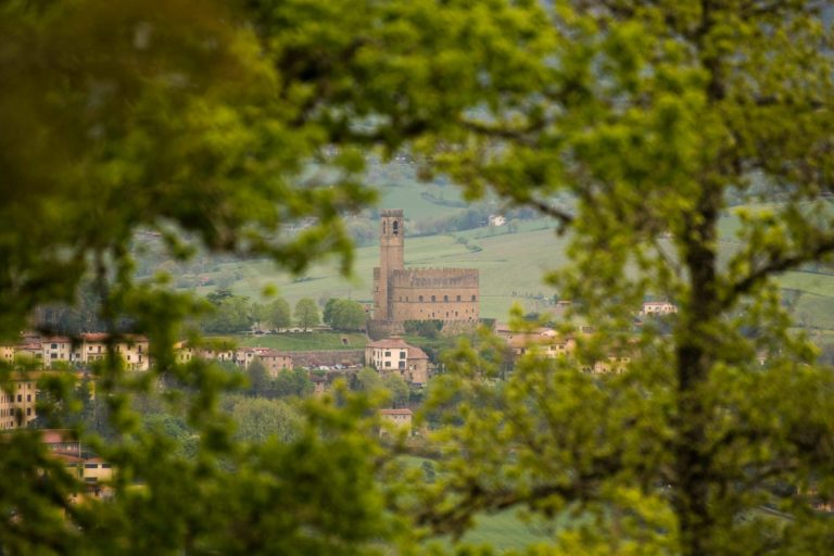 La “transizione ecologica” e il Casentino: qualche domanda ai nostri Sindaci