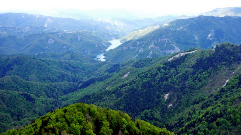 Riparte il progetto di forest bathing nel Parco Nazionale Foreste Casentinesi