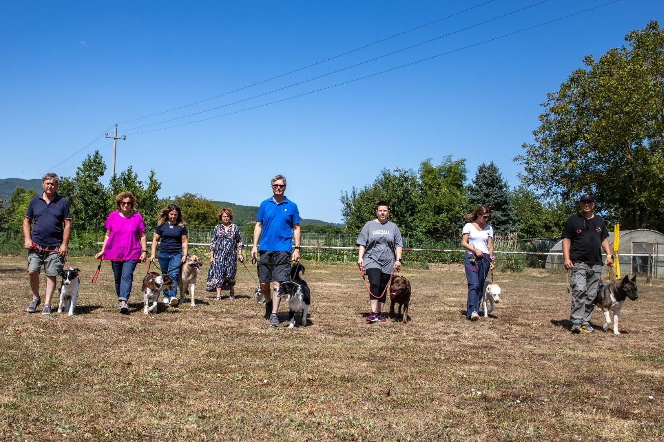 Centro Cinofilo Casentinese: punto di riferimento per cani e proprietari