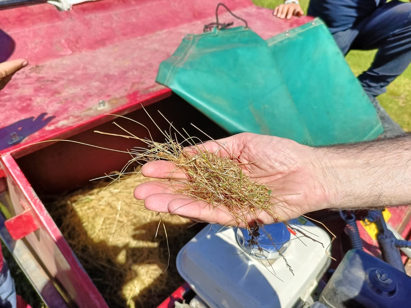 La raccolta del fiorume in Pratomagno, la prima volta in Appennino